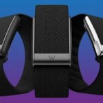 Apple-tests-prototypes-of-fitness-bracelet-without-Whoop-type-screen.jpg