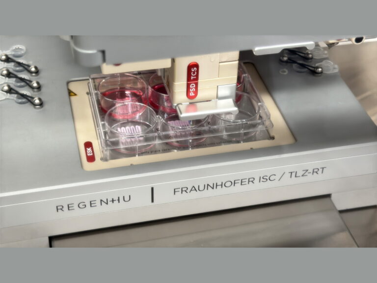 Heart-or-kidney-from-a-3D-printer-The-Fraunhofer-Institute.jpg